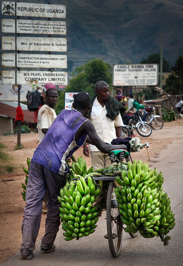 Linkages to Market Actors